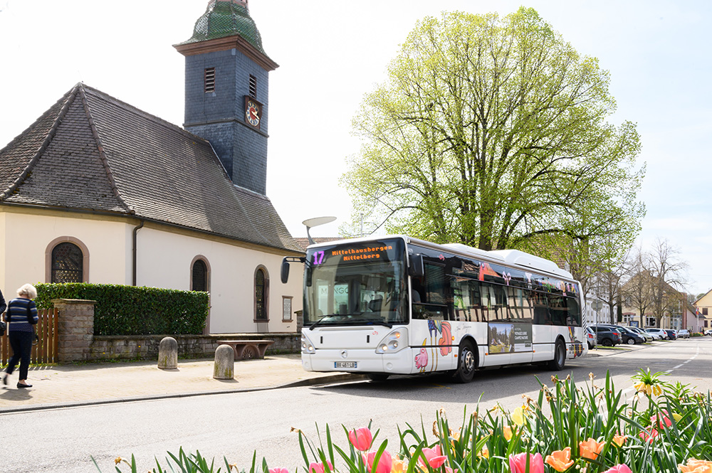 Bus circulant à Mittelbergheim
